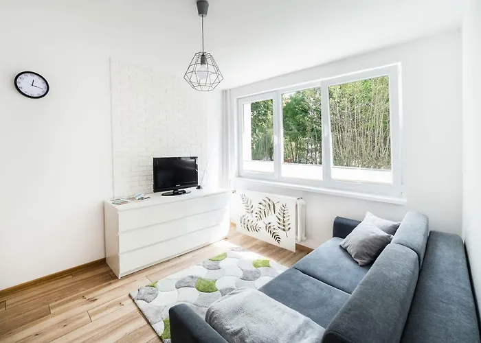 Smetka Апартаменты Ольштын